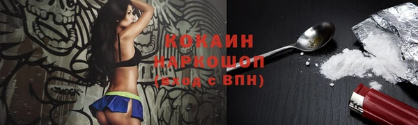 молекула духа Богородицк