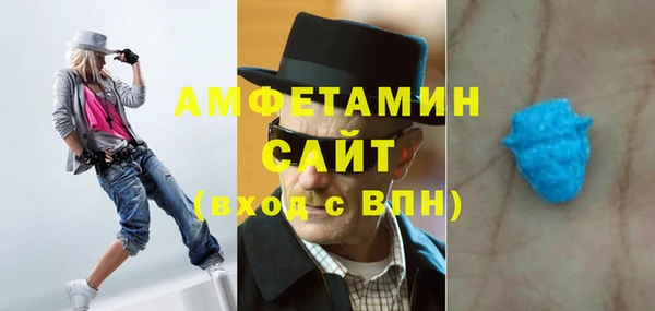 молекула духа Богородицк