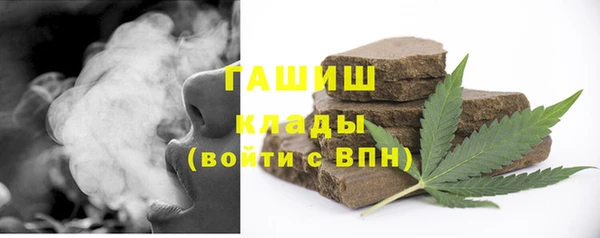молекула духа Богородицк