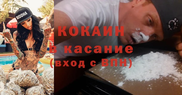 молекула духа Богородицк
