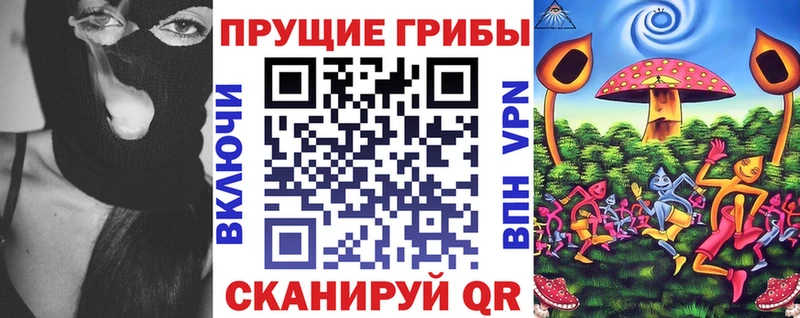 Псилоцибиновые грибы Cubensis  закладка  Буй 